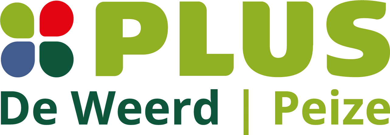 Logo plus v2