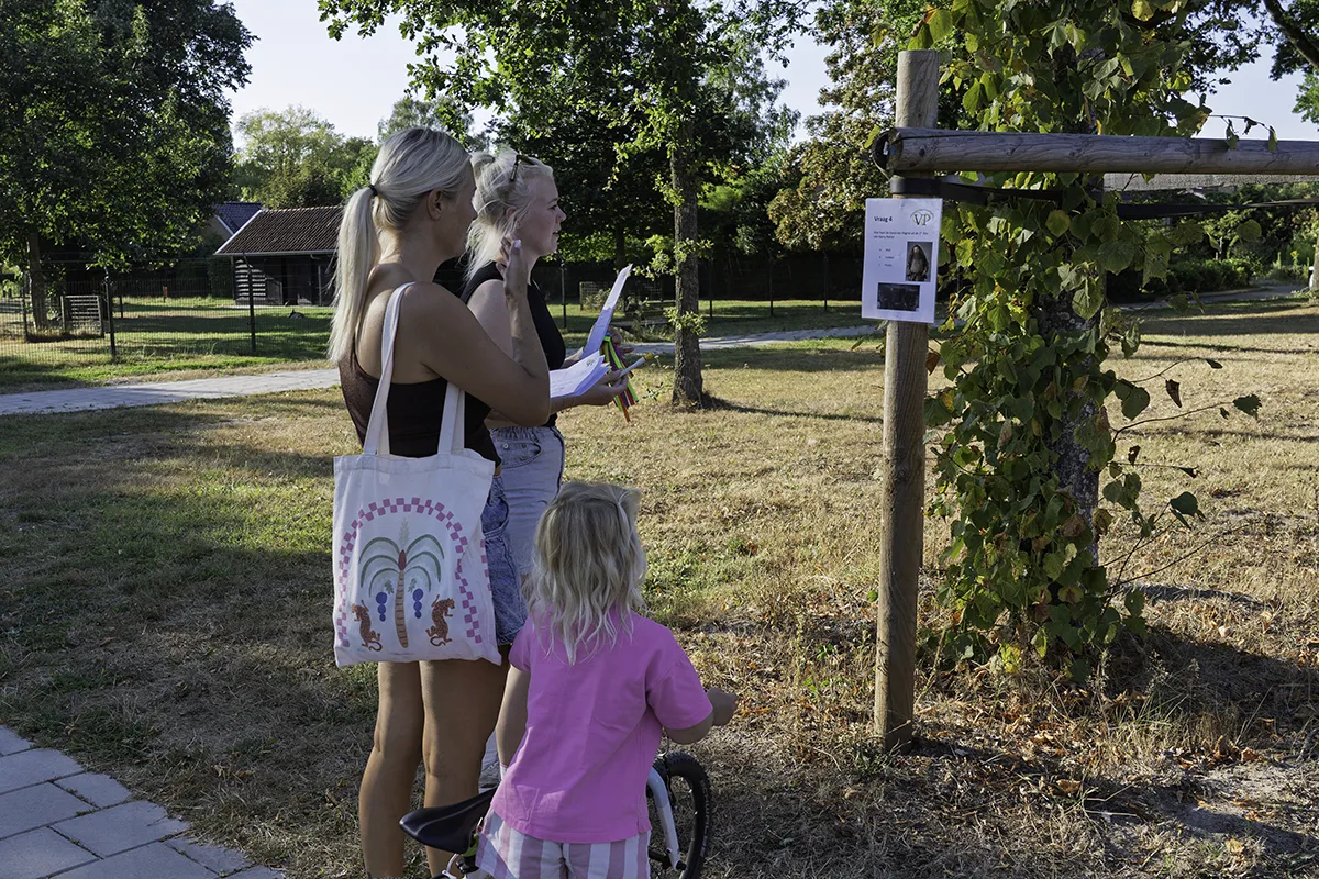20260812 wandelpuzzeltocht